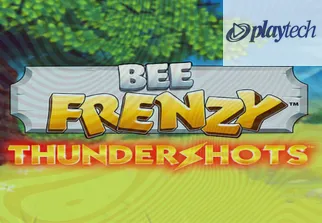 Bee Frenzy